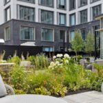 Tier II Landscape Design: Inside the Creative Process of a Design-and-Build Powerhouse