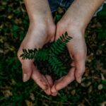 Exploring Paths to Sustainability: Challenges, Solutions, and the Role of Fossil Fuels