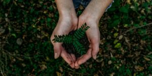 Exploring Paths to Sustainability: Challenges, Solutions, and the Role of Fossil Fuels