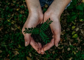 Exploring Paths to Sustainability: Challenges, Solutions, and the Role of Fossil Fuels