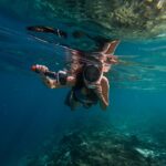How Ocean Currents Influence Global and Regional Temperature Patterns