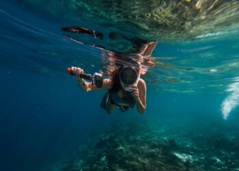 How Ocean Currents Influence Global and Regional Temperature Patterns