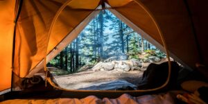 Lasting Comfort: The Environmental and Practical Benefits of Choosing a Canvas Tent