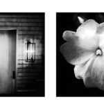 Veritas Contemporary Presents Fine Art Photographer Adriane Stark at Hamptons Fine Art Fair