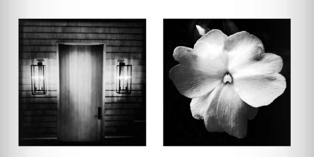 Veritas Contemporary Presents Fine Art Photographer Adriane Stark at Hamptons Fine Art Fair