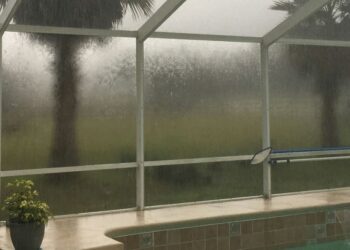 Tips for Snowbirds: Finding Expert Mold Remediation Services in South Florida During Hurricane Season While You're Away