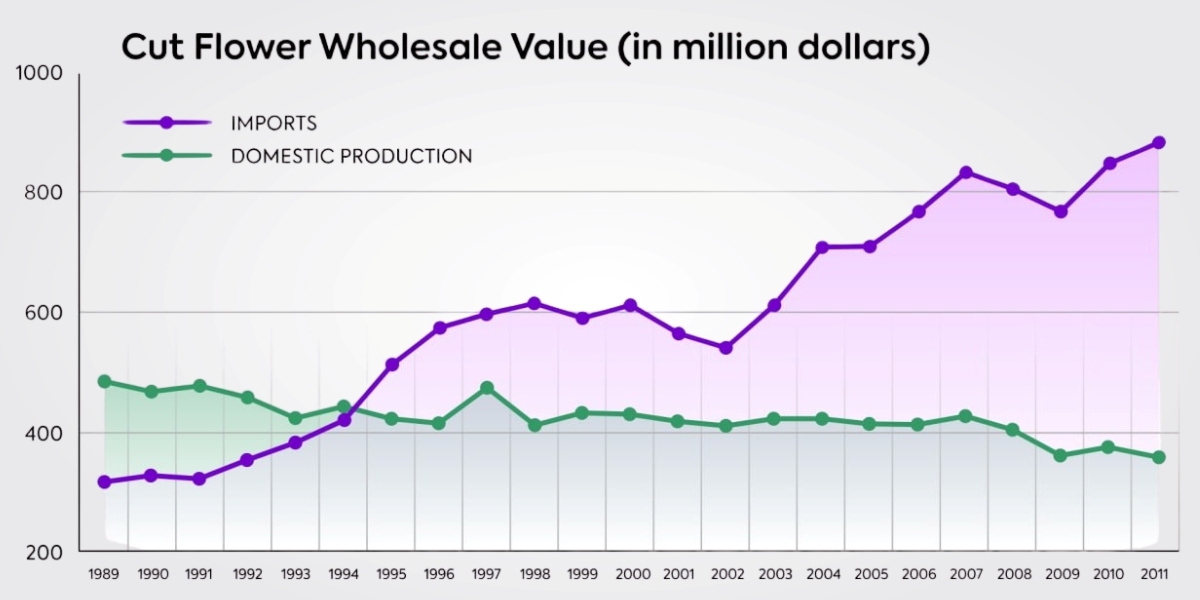 Floristry in America: Viktoriia Perebyinis’s Opinion on the Specifics of the Market