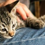 5 Reasons Brands Partner With Kitting Services Before Scaling Up