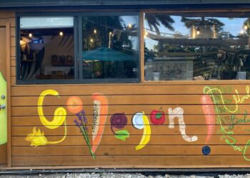 A Guide to Vegan Meal Plans Benefits, Structure, and Getting Started