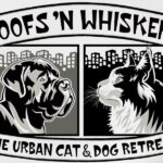 Behind Every Wag at Woofs ’n Whiskers What Makes a Great Pet Care Team — and Why It Matters