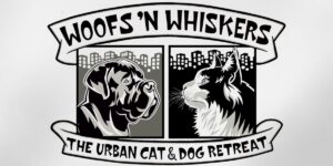 Behind Every Wag at Woofs ’n Whiskers What Makes a Great Pet Care Team — and Why It Matters