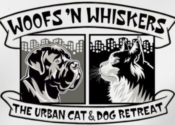 Behind Every Wag at Woofs ’n Whiskers What Makes a Great Pet Care Team — and Why It Matters