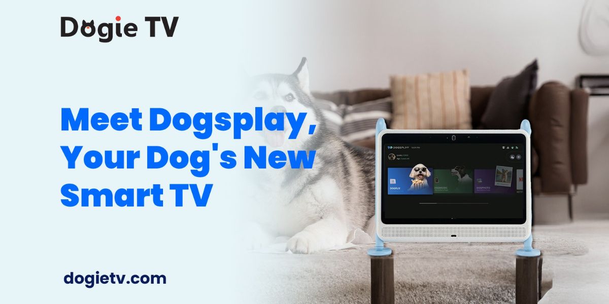 Beyond Boredom: DogieTV's Dogsplay Pet Media Box, a Canine Comfort Revolution