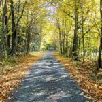Planning an Upstate NY Road Trip Consider These RV Accessories