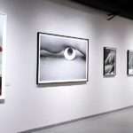 Siqi Qin: “A Rose Is A Rose” Photography Exhibition Opens in Shanghai