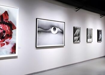 Siqi Qin: “A Rose Is A Rose” Photography Exhibition Opens in Shanghai