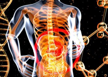 Why Visiting a Gut Health Consultant in Melbourne Is Important