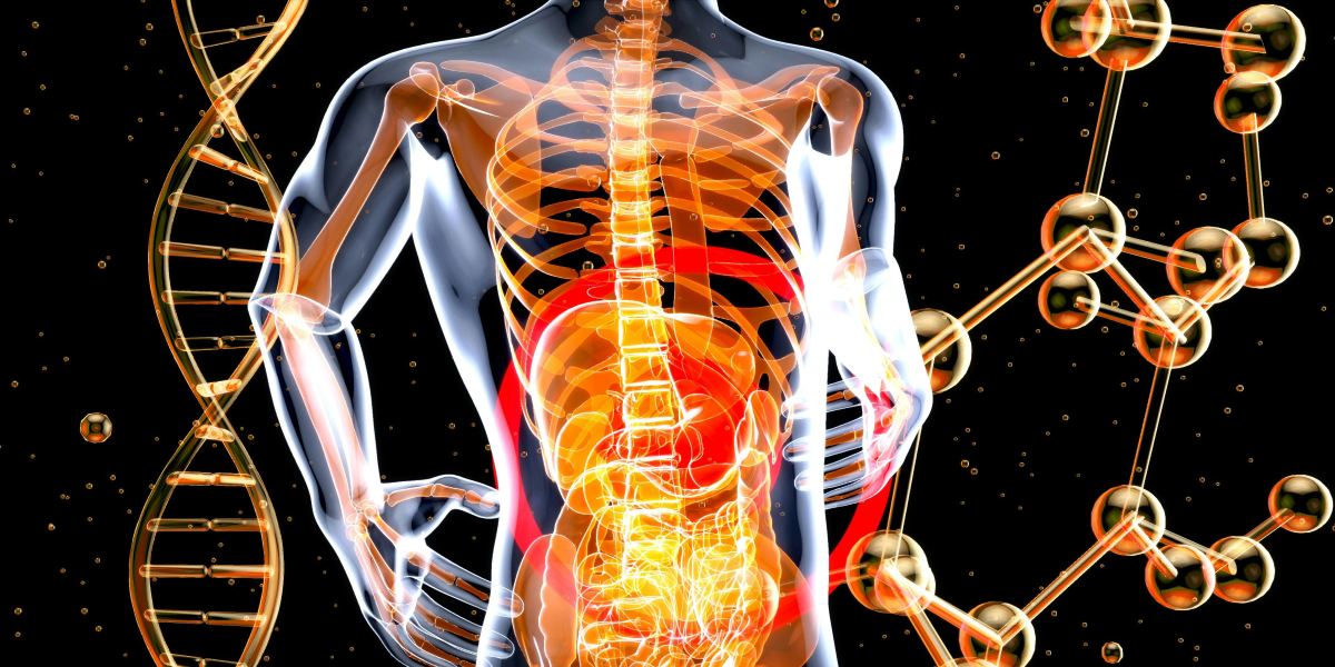 Why Visiting a Gut Health Consultant in Melbourne Is Important