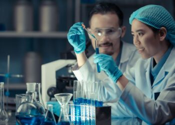 Improving Therapeutic Antibody Performance Through Expert Humanization Services