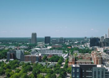 Amy Hannah Johnston Showcases How Tree Stewards Are Transforming Virginia’s Urban Landscape