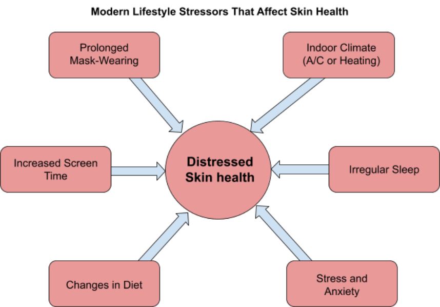 Diagram of modern lifestyle stressors that affect skin health