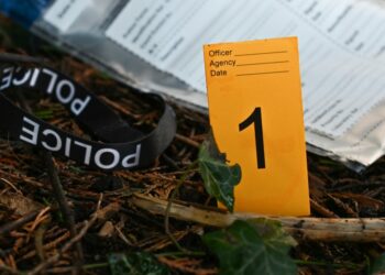 How Patrick Hinds and Gillian Pensavalle Turned ‘True Crime Obsessed’ Into a Popular Success