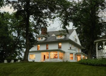 Revolutionize Your Outdoor Space With Low-Maintenance Turf