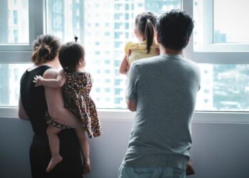 When Expertise Matters Understanding Family, Immigration, and Property Processes