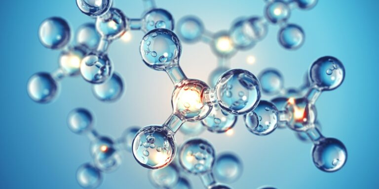 How Rapamycin Is Emerging as a Tool for Lifespan Extension and Healthy Aging