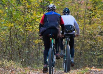 Why the Vertical Bike Rack Is Becoming the Go-To for American Outdoor Families