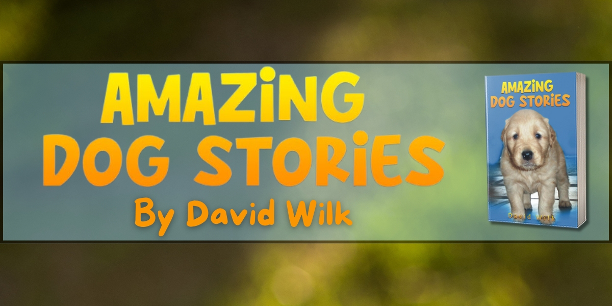 Celebrating the Unique Bond Between Humans and Dogs