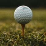 Exploring Why Titleist Pro V1 Golf Balls Are Popular Among Serious Golfers