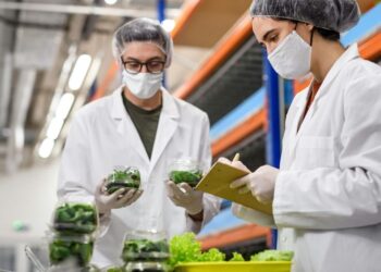 How Local Makers Are Redefining Urban Manufacturing in NYC