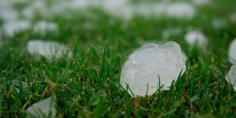 Plan a Weekend to DIY Hail Protection for House Windows