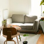 Why Indoor Air Matters When You Share Your Space with Pets