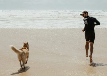 7 Exciting Things About Dog Boarding in Melbourne