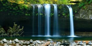 Exploring a New Concept in Health Technology and Environmental Impact