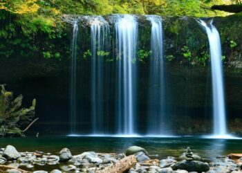 Exploring a New Concept in Health Technology and Environmental Impact