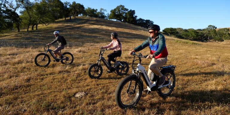 Mokwheel: Redefining the Electric Bike Industry with Innovation and Sustainability