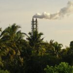 Quiet Gains How Practical Operators Are Powering a Lower-Carbon Energy Mix