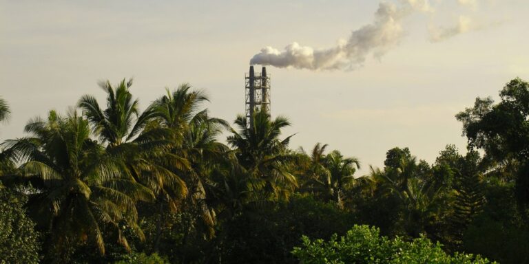 Quiet Gains How Practical Operators Are Powering a Lower-Carbon Energy Mix