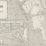 The Great Southern Shuffle: Why Floridians Are Sunshine for New Horizons in the Palmetto State