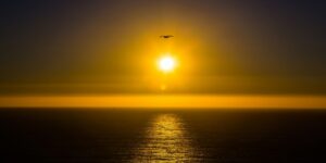 The Influence of Introspective Literature on Personal Growth and Spiritual Awakening Exploring Chrystal Rae's “Love Letters to Your Soul”