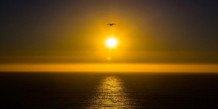 The Influence of Introspective Literature on Personal Growth and Spiritual Awakening Exploring Chrystal Rae's “Love Letters to Your Soul”