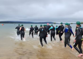 Triathlon Wetsuits for Every Level Entry to Elite Picks