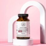 What to Know About Happy Mammoth: A Closer Look at User Feedback