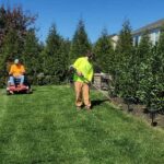 Why Lawn Mowing Services Save Time and Improve Garden Health
