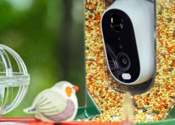 DETIKO Smart Bird Feeder Black Friday Deals: Up to 35% Off Now Live