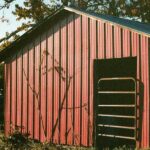 Patiowell’s Outdoor Shed Buying Guide: Tips for Choosing the Right One