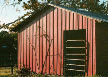 Patiowell’s Outdoor Shed Buying Guide: Tips for Choosing the Right One